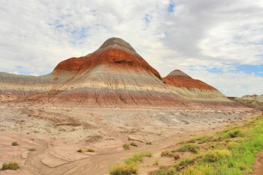 Arizona 'daki Petrified Forest Ulusal Parkı' nın manzarası adını taşlaşmış büyük ağaç yataklarından almıştır.