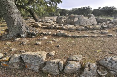     Pranu Muttedu - Sardunya 'nın en büyük bakıcılarından biri..                           