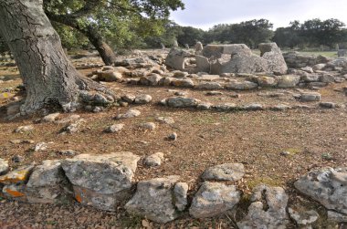     Pranu Muttedu - Sardunya 'nın en büyük bakıcılarından biri..                           