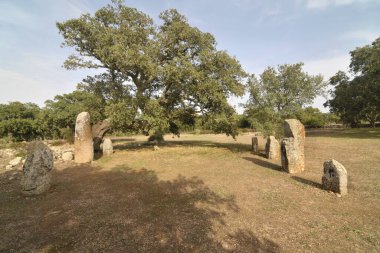     Pranu Muttedu - Sardunya 'nın en büyük bakıcılarından biri..                           