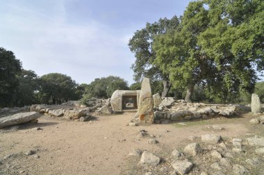     Pranu Muttedu - Sardunya 'nın en büyük bakıcılarından biri..                           