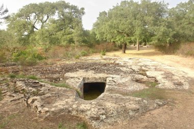     Pranu Muttedu - Sardunya 'nın en büyük bakıcılarından biri..                           