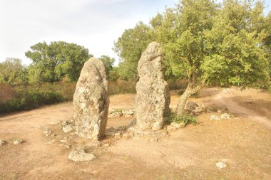     Pranu Muttedu - Sardunya 'nın en büyük bakıcılarından biri..                           