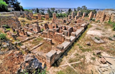 Tunus 'taki antik Kartaca kentinin kalıntıları