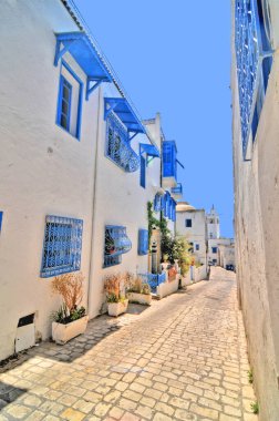 Sidi Bou Said - Tunus başkenti yakınlarındaki beyaz bir turist kasabası, Tunus