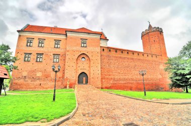 Polonya, Czyca 'daki Ortaçağ Kraliyet Kalesi                               