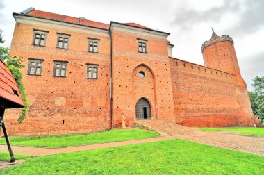 Polonya, Czyca 'daki Ortaçağ Kraliyet Kalesi                               