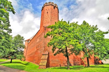 Polonya, Czyca 'daki Ortaçağ Kraliyet Kalesi                               