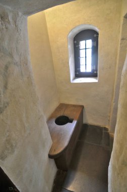 Germen kalede: malbork, Polonya