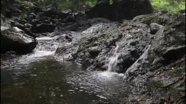 Une Source Naturelle Eau Qui Coule Long Des Rochers — Video