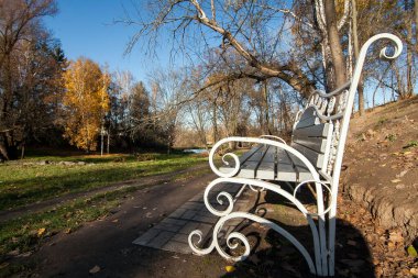 Parkta sonbahar manzarası ve bir bank