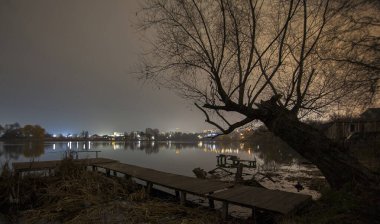 Şehrin arka planında köprü ve ağaç olan gece manzarası nehri ve yıldızlı karanlık gökyüzü.