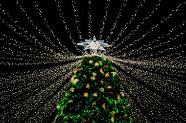 Şenlikli süslemeleri olan Noel ağacı ve renkli ışıkların parıltısıyla dağda bir yıldız