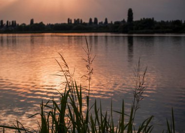 Akşamları kıyıda bir yaz nehrinin manzarası, güneşin parladığı, ufku götürdüğü, ve diğer tarafta fırtınaları, tarlaları ve bir sürü buzu, bulutları ve ışınları görebilirsiniz..