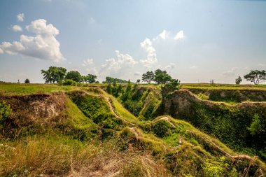 Yeşil tepeler ve yeşil çimenlerdeki vadilerle ve mavi gökyüzüne ve güneş ışığına karşı uzun ağaçlarla dolu bir yaz manzarası. Sıcaktan bir sürü sarı çimen.