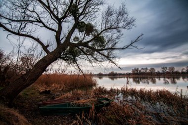 Akşam gökyüzüne karşı kış manzarası, nehrin yanında büyük bir ağaç ve kara bulutlar.