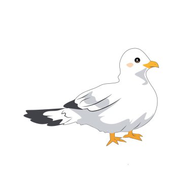 Logo vektörü ilustrasi burung camar