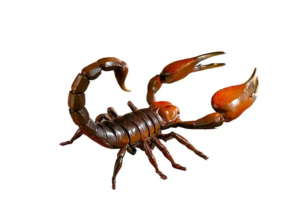 Skorpion Mit Roter Zange Miniaturtier Auf Weißem Hintergrund — Stockfoto