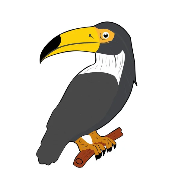 Tecknad Toucan Fågel Logotyp Vektor Illustration — Stock vektor