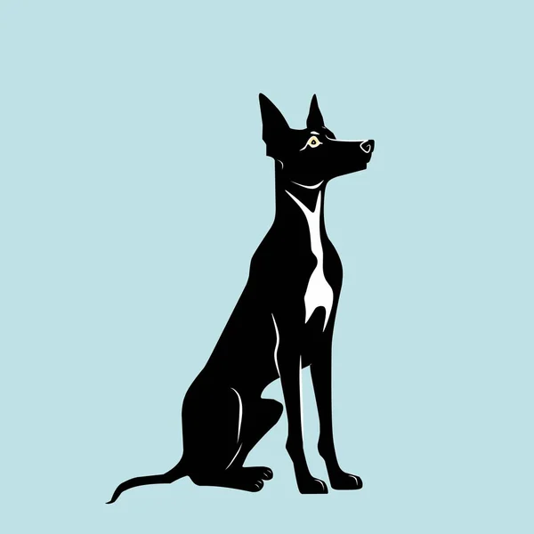 Illustration Vectorielle Logo Couleur Noire Pour Chien Doberman Sur Fond — Image vectorielle
