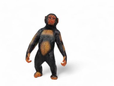 Duran şempanze minyatür hayvan beyazın üzerinde izole edilmiş.