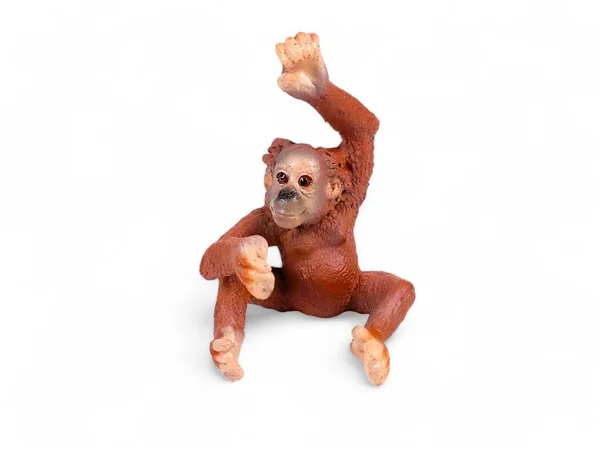 Miniatura Animal Bebê Orangotango Isolado Branco — Fotografia de Stock