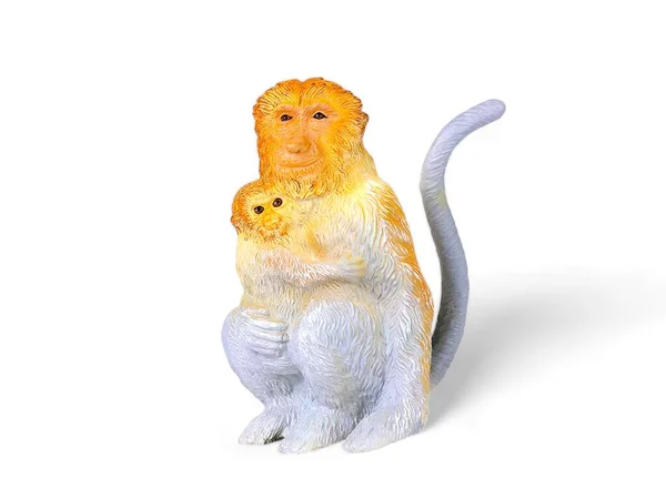 Macaco Probóscide Com Filhotes Animal Miniatura Sobre Fundo Branco — Fotografia de Stock