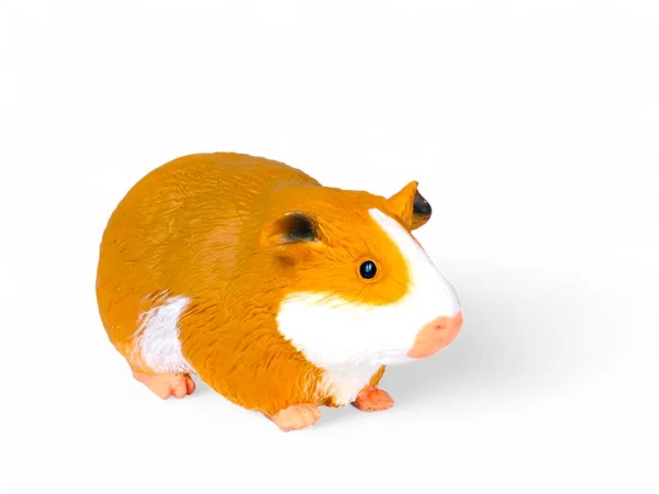Hamster Oranje Miniatuur Dier Witte Achtergrond — Stockfoto