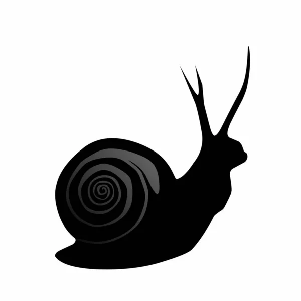 白色背景上的黑蜗牛动物的动画矢量图解 — 图库矢量图片