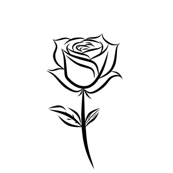 Illustration Vectorielle Lignes Formant Une Fleur Sur Fond Blanc — Image vectorielle