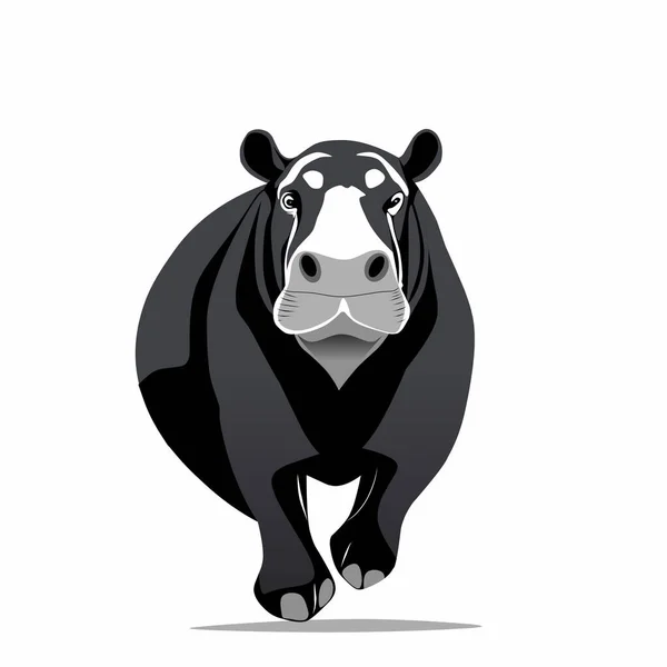 Hippopotamus Animal Animated Vector Illustration White Background — Stock Vector