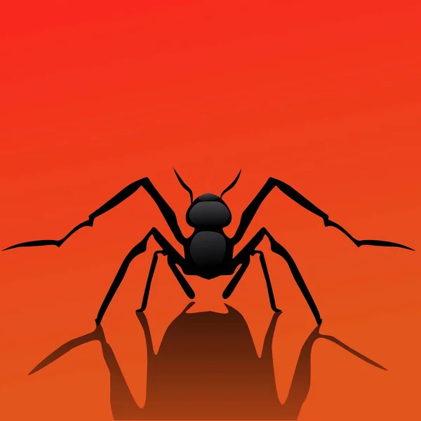 Logo Vecteur Animal Fourmi Noire Sur Fond Rouge Orange — Image vectorielle
