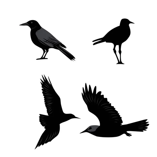 Векторная Черная Иллюстрация Коллекции Птиц Белом Фоне — стоковый вектор