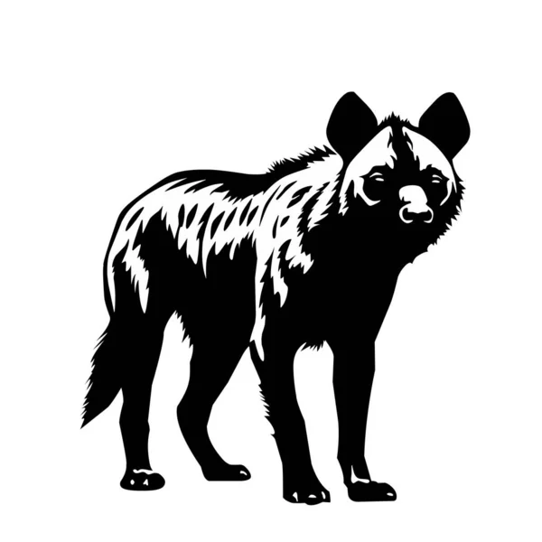 Black White Vector Hyena Animal White Background — Stock Vector