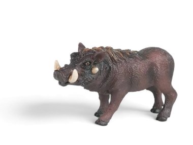 Beyaz arka planda minyatür bir yaban domuzu.