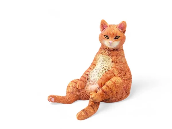 Orange Cat Sitting Miniature Animal White Background — Stock Photo, Image