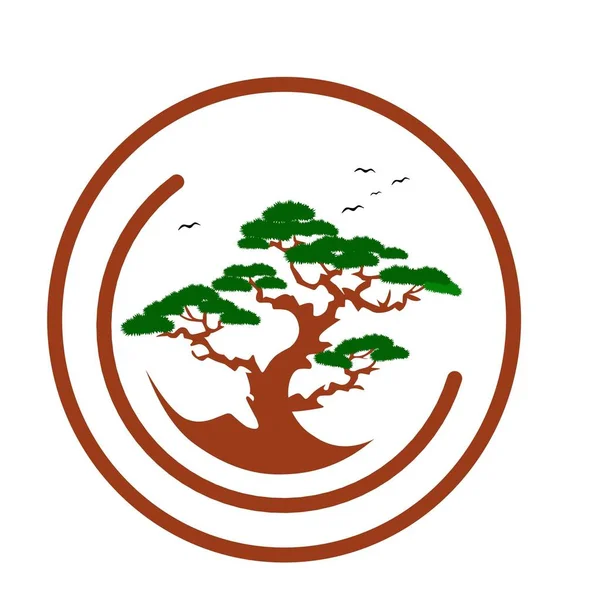 Logo Gambar Pohon Bonsai Desain Logo Pada Latar Belakang Putih - Stok Vektor