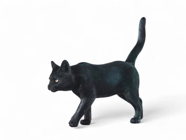 Miniaturní Zvíře Černá Kočka Bílém Pozadí — Stock fotografie