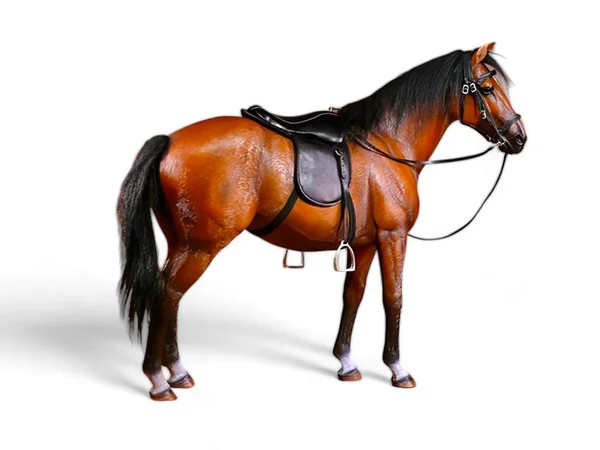 Brown Horse Saddle Miniature Animal White Background — Stock Photo, Image