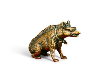 Beyaz arka planda minyatür altın sırtlan