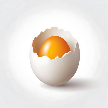 Brown egg on white background vector illustration