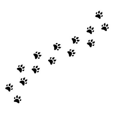 Lion foot black Prints on White Background. Vector Illustration clipart