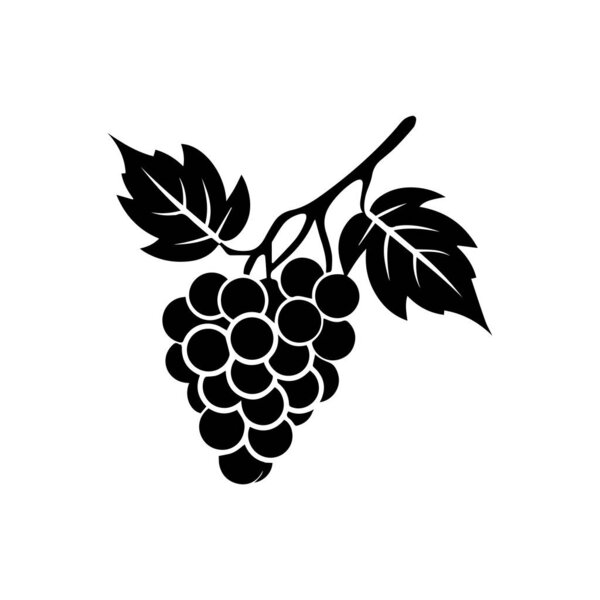Grapes icon black and white background design. silhouette style, vector illustration.