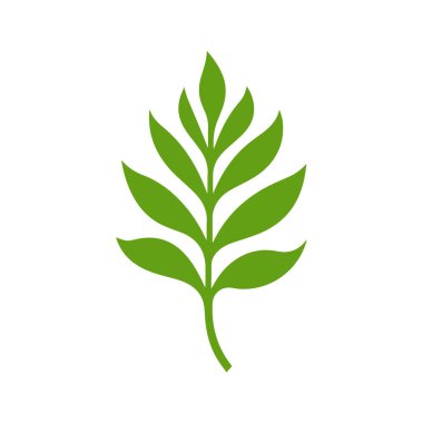 Yeşil Yaprak simgesi şekli taze düz vektör tasarımı.