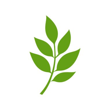 Yeşil Yaprak simgesi şekli taze düz vektör tasarımı.