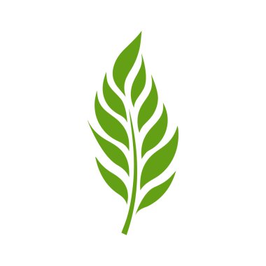 Yeşil Yaprak simgesi şekli taze düz vektör tasarımı.