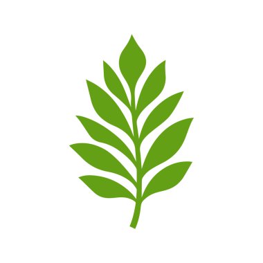 Yeşil Yaprak simgesi şekli taze düz vektör tasarımı.