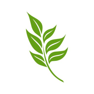 Yeşil Yaprak simgesi şekli taze düz vektör tasarımı.