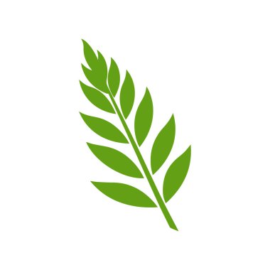 Yeşil Yaprak simgesi şekli taze düz vektör tasarımı.