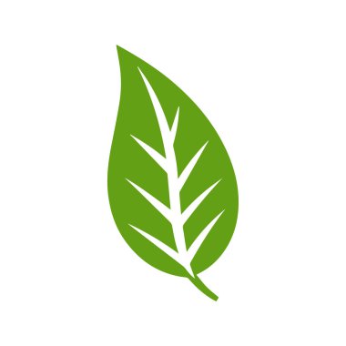 Yeşil Yaprak simgesi şekli taze düz vektör tasarımı.